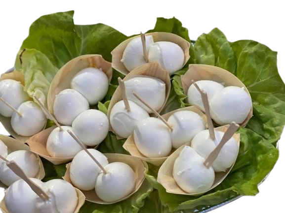 Mozzarella di bufala