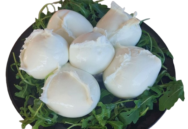 Mozzarella di bufala